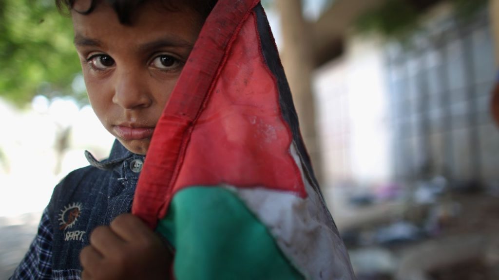 Boy_Palestinian_Flag.0.0