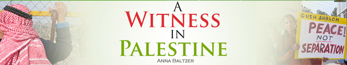 witness-in-palestine_full